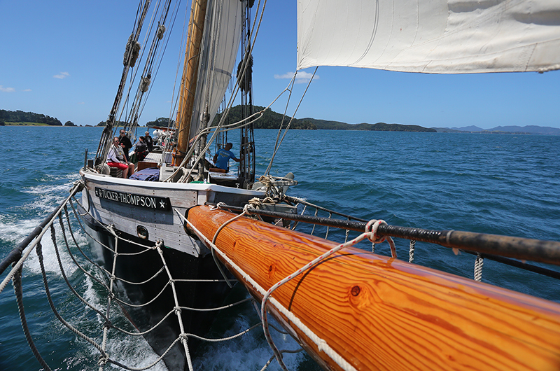 Sail on the R Tucker Thompson, Bay of Islands, NZ